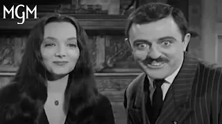 Best of Morticia Gomez Addams MGM Studios