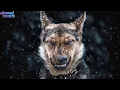 Lil Jon, DJ Snake - Turn Down for What (slowed + reverb)