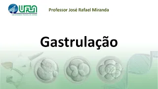 Gastrulação