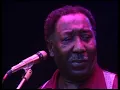 Muddy Waters - Mannish Boy (Live At Rockpalast)