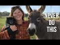 Why I Don’t Trust Our Donkeys!