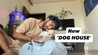 Orry ka naya ghar, New 'Dog House' Unboxing🐶