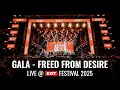 Download Lagu GALA - Freed From Desire live at EXIT 2025