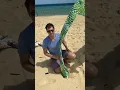 How to setup the Cool Cabanas beach shelter