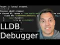 Learn the lldb debugger basics in 11 minutes 2021 Also works on M1 Apple Silicon