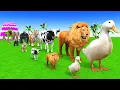 Download Lagu Long Slide Game With Cow Elephant Gorilla Hippopotamus Tiger 3d Animal Game Funny 3d Animals