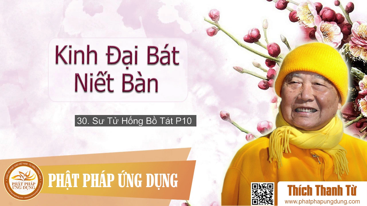 30 - Sư Tử Hống Bồ Tát Phần 10 - Thiền Sư Thích Thanh Từ 