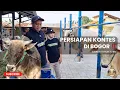 Download Lagu SAPI-SAPI YANG BERANGKAT KONTES DI BOGOR ‼️ | SUMBER TERNAK FARM