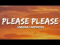 Download Lagu Sabrina Carpenter - Please Please Please (Lyrics)