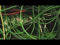 Republicans push bill to incentivize competition for broadband in WV