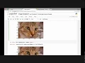 155 Introduction Images are Arrays Part 2