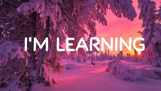 دارم یاد می گیرم   شریک خاموش  متن آهنگ  دندنها