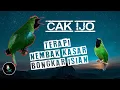 Download Lagu Terapi Masteran Cucak Ijo Gacor Bongkar Isian Nembak Kasar