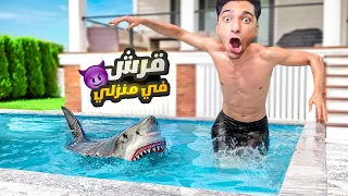 محبوس داخل حمام سباحه يوجد به قرش لعبه كابوس الطفوله Sharks And Minnows Game 