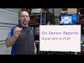 Fuel Systems Closed Loop Control