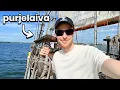 Download Lagu firman kesäjuhlat merellä
