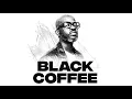 Download Lagu Afro House Mix 2025 | Black Coffee, Keinemusik, Notre Dame, Mtsepisto