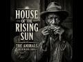 House of the Rising Sun The Animals Delta Blues