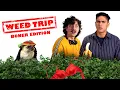Every Comedy From the Early 2000 s