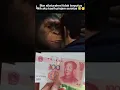 Download Lagu Nih aku kasih pinjam seratus🤭🤣