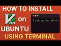 How to Install Vim on Ubuntu Using Terminal 2025 Beginner s Guide