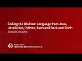 Calling the Wolfram Language from Java JavaScript Python Bash and Back and Forth
