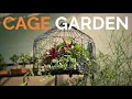 Don t keep birds in cages Make a Rustic Cage Garden instead