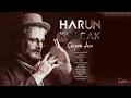Harun Kolçak - Gir Kanıma (feat. İrem Derici) (Official Audio)