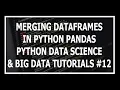 Hindi Merging DataFrames In Pandas - Python Data Science and Big Data Tutorials
