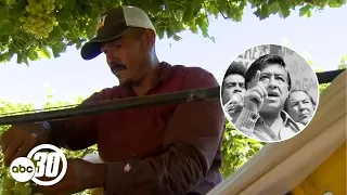 Valley leaders call for action ahead of first-ever Farmworkers Day