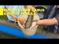 Download Lagu Rahasia Sukses Cara Budidaya Ikan Gabus untuk Pemula