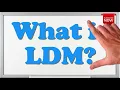 What is the full form of LDM