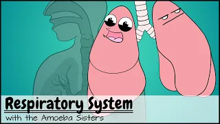 Download Respiratory System MP3