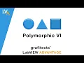 Polymorphic VI - LabVIEW