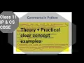 Comment in PYTHON Class 11 IP and CS CBSE