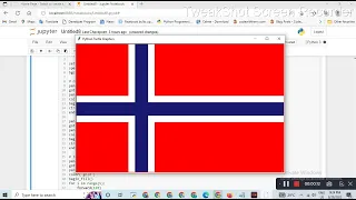 flag of Norway Python turtle library Python for beginners