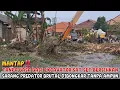 Download Lagu MANTAP‼️TANPA BASA BASI EXCAVATOR SAT SET BERSIHKAN SARANG PREDATOR BRUTAL DIBONGKAR TANPA AMPUN#kdm