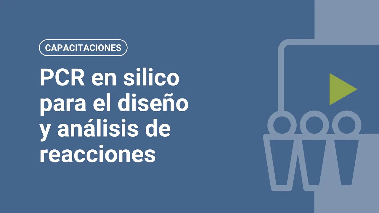 PCR en silico: herramientas digitales para el diseño y análisis de reacciones