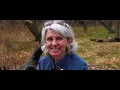 Forest Preserve -