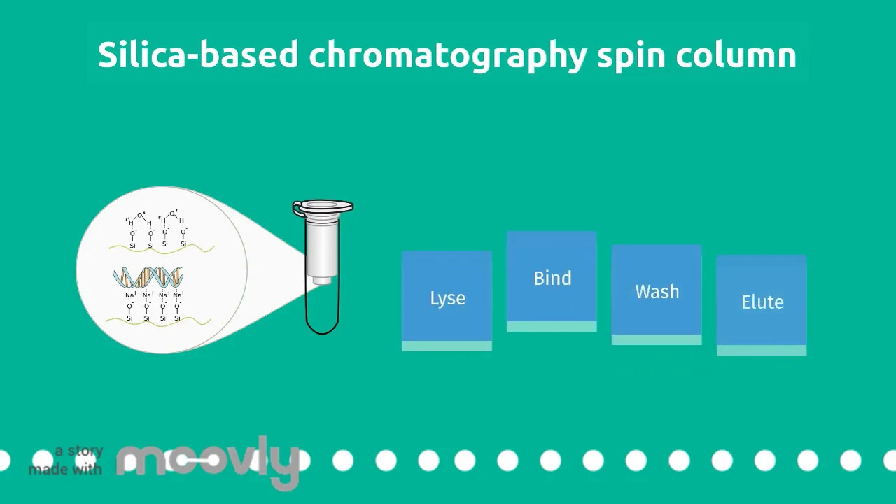 Pre Lab Video: Silica-Based Chromatography Spin Column