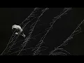 許志安 Andy Hui - 每個人的勵志歌 (Official Music Video)