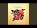 Download Lagu Butterflies