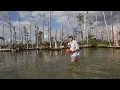 High Tide in Dorchester 2018