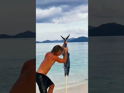 SOLO Survival Catch and Cook  #fishing #survival #survivalskills
