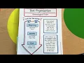 Text organization anchor chart