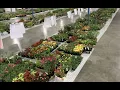 What s a Tulsa County Master Gardener