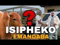 Lagu MTHANDENI SK UPHEKISE UKHUZANI MPUNGOSE? | KUTHIWA UTHELEKILE EMANDABA ENKANDLA 🙆