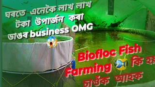 Download Biofloc Fish Farming  Setup- ঘৰতে লাখ লাখ টকা business 🤩 MP3