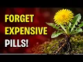 Stop Wasting Money on Supplements The Longevity Secret Hiding in Your Garden