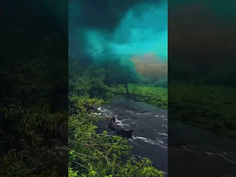 صيف جنوب السعوديه 🇸🇦